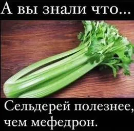 Сельдерей полезнее мефедрона
