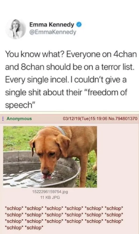 Everyone on 4chan and 8chan