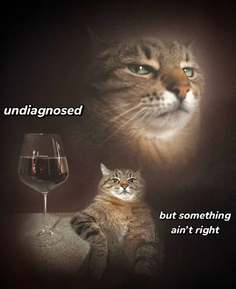 Undiagnosed But Something Ain’t Right