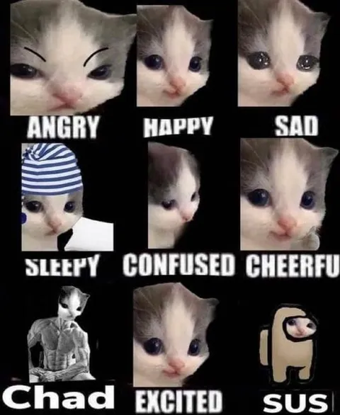 Cat Emotions Chart