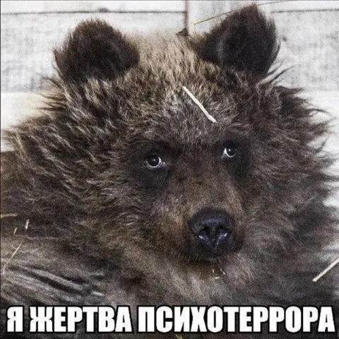 Я жертва психотеррора