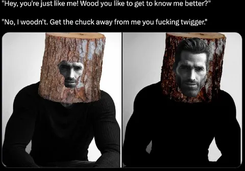 Wood You Like to Know Me