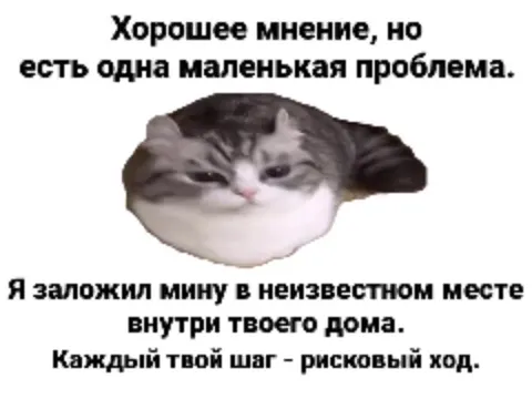Мина в неизвестном месте