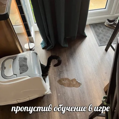 Пропустив обучение в игре