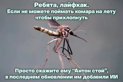 Антон стой комар с ИИ