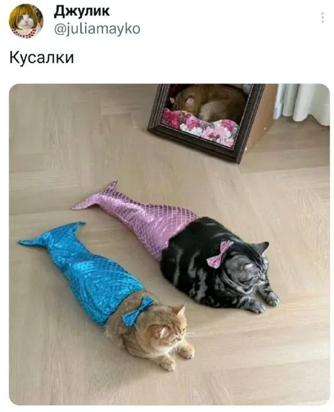 Кусалки в костюмах русалок