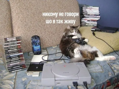 Никому не говори, шо я так живу