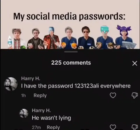 My Social Media Passwords