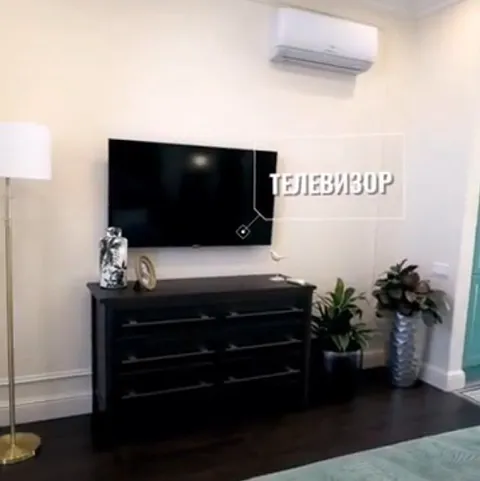 Телевизор с подписью