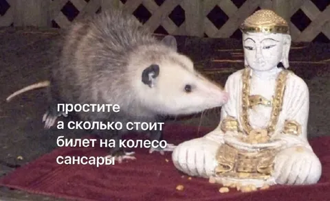 Крыса спрашивает о колесе сансары