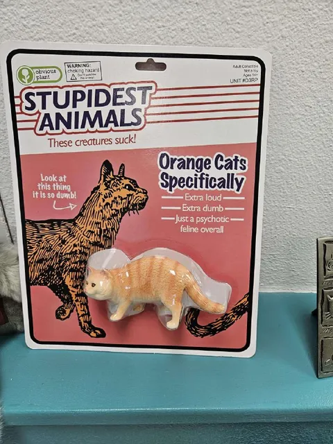Orange Cats Specifically