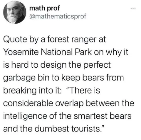 Smartest Bears and Dumbest Tourists