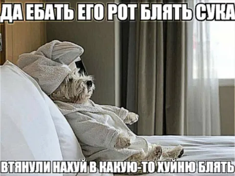 Когда втянули в какую-то херню