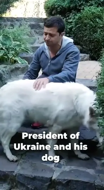Presidents and Their Dogs