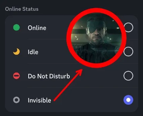Snake Is Invisible Online