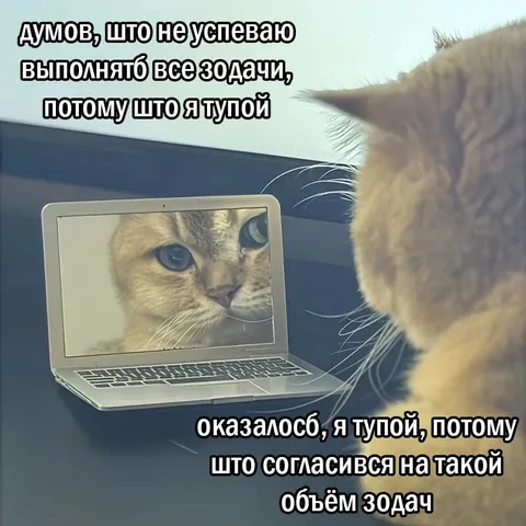 Тупой из-за объёма задач