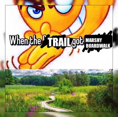When the Trail Got Marshy