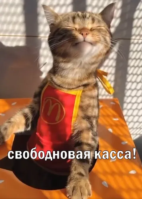 Свободновая касса