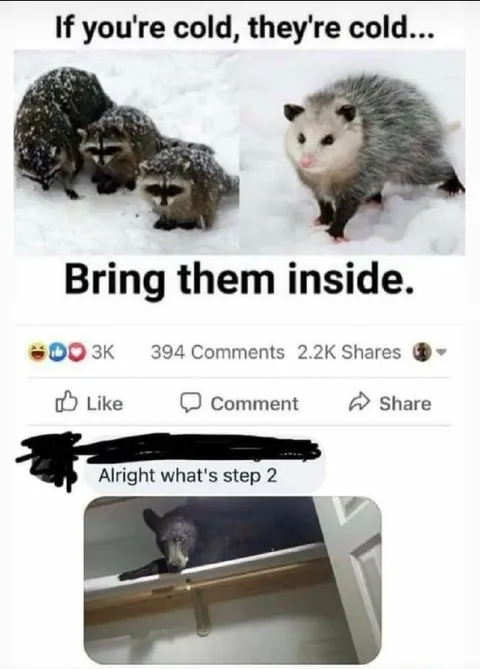 Bring Them Inside Step Two