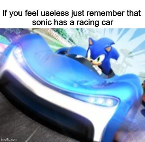 Sonic Has a Racing Car