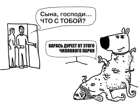 Карась дурее от чиллового парня