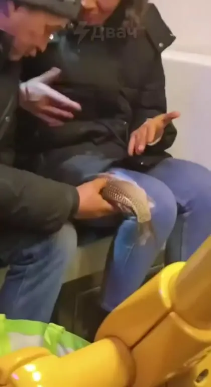 Карась в метро
