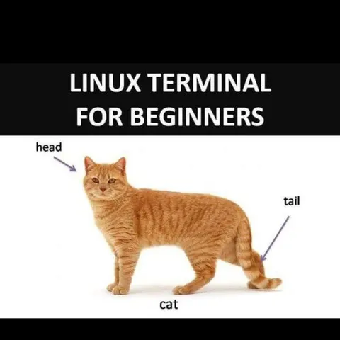Linux Terminal for Beginners