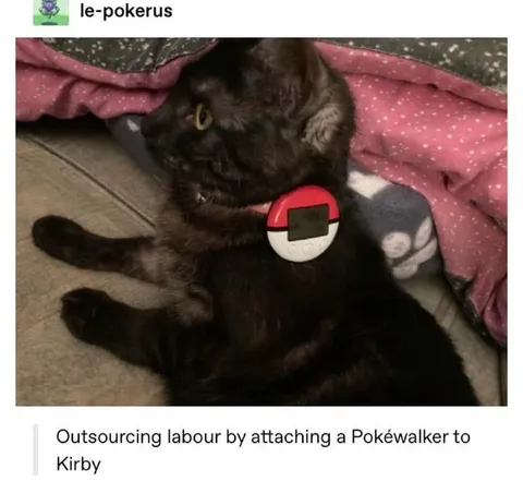 Pokéwalker Attached to Kirby
