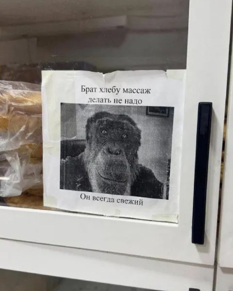 Брату хлебу массаж не надо
