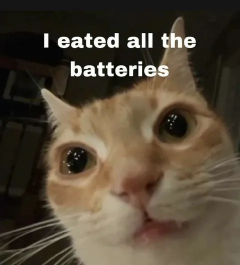 I Ate All the Batteries