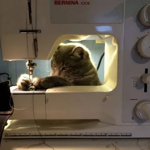Кот шьёт на машинке