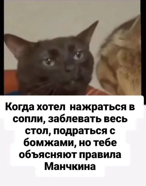 Правила Манчкина вместо драки