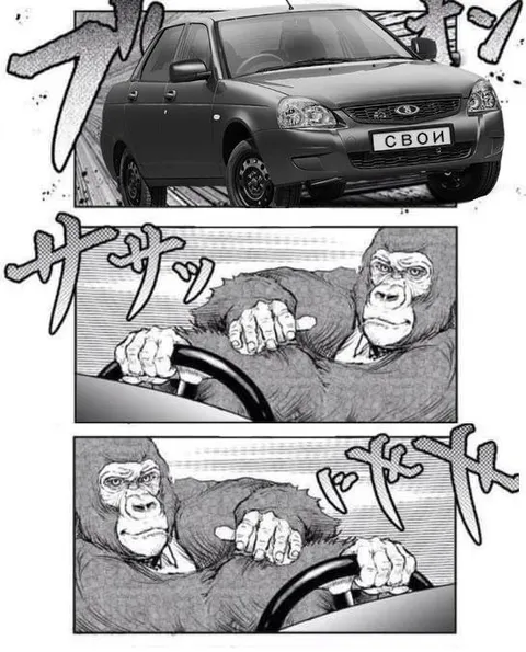 Свои за рулём