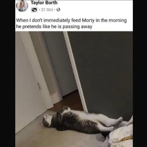 Morty Pretends to Be Dying