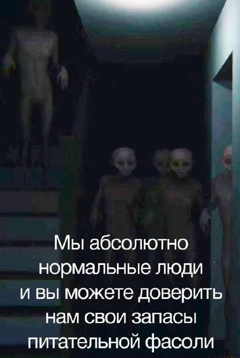 Мы абсолютно нормальные люди