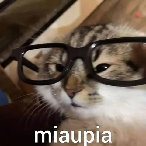Gato con gafas miau pia