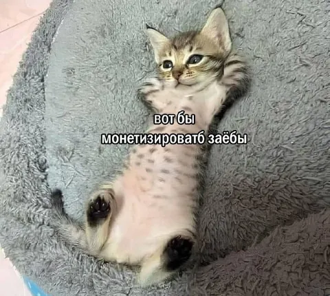 Монетизировать заёбы
