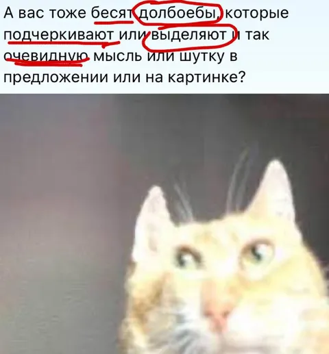 Бесят выделения очевидного