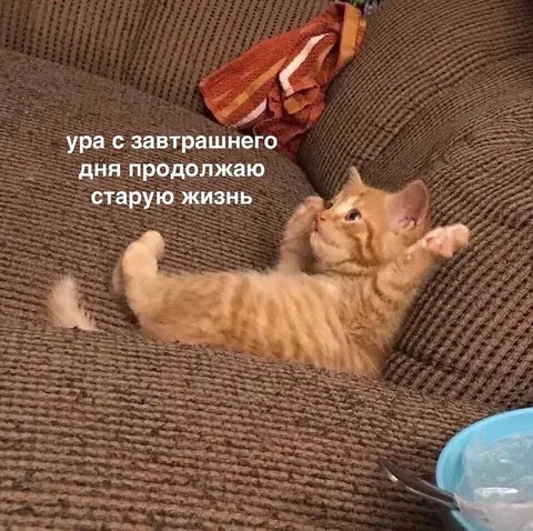 Продолжаю старую жизнь с завтра