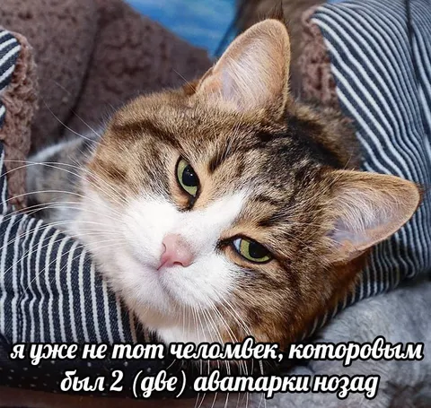 Я уже не тот человек