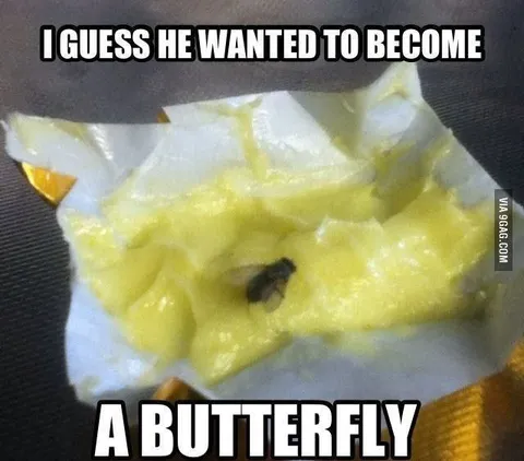 Butterfly in the Butter