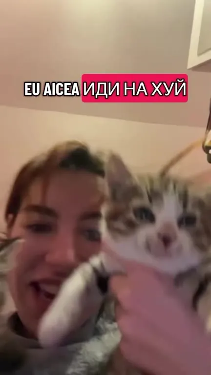 Иди на хуй с котятами