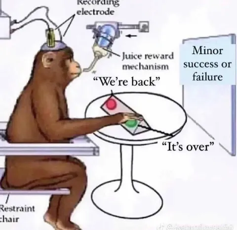 Monkey Juice Reward Experiment