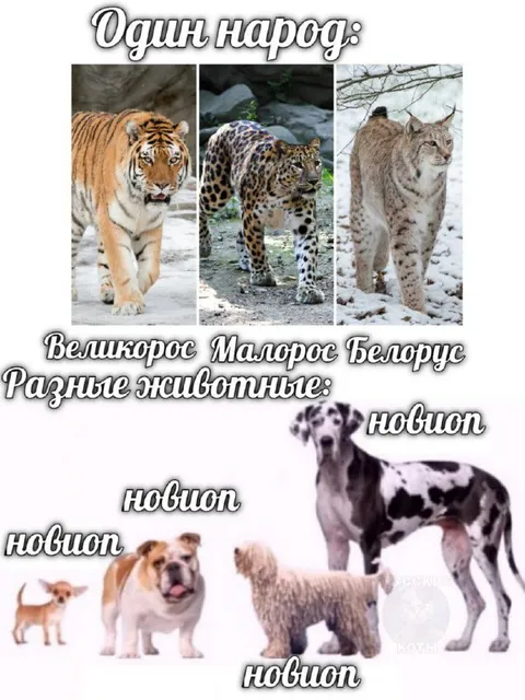 Один народ, разные животные