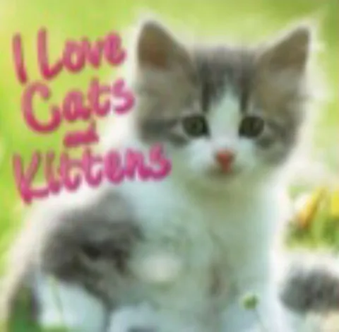 I Love Cats Welcome