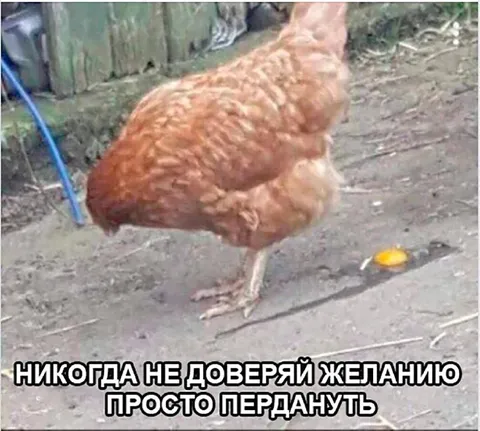Не доверяй желанию пердануть