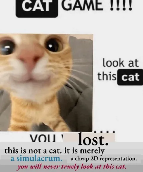 This Is Not a Cat