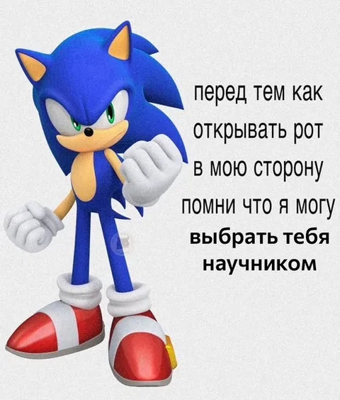 Соник выбирает тебя научником