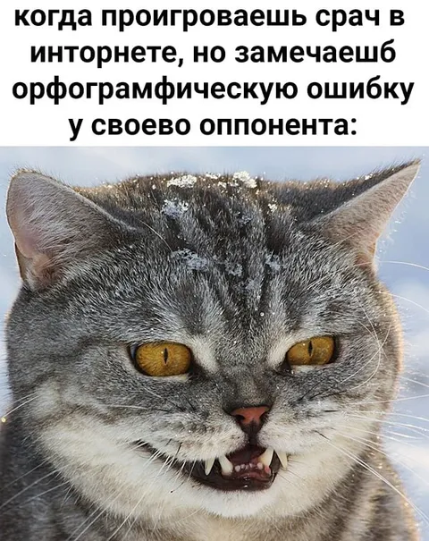 Орфографическая ошибка оппонента
