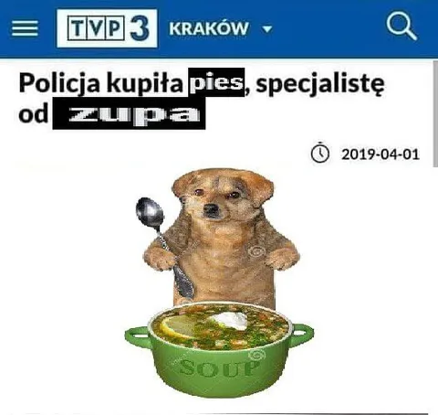 Policja kupiła psa do zupy
